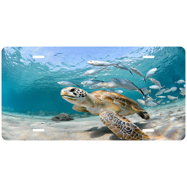 Personalized Custom Sea Turtle Novelty Front License Plate - seaturtle - Ocean - decorative auto tag - Wall Decor - Sign - Room Art Sign -