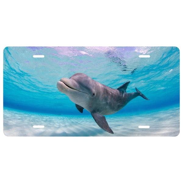 Personalized Custom Dolphin Novelty Front License Plate - Fish - Ocean - decorative auto tag - Flipper - Wall Decor - Sign - Room Art Sign -