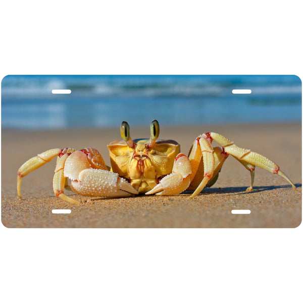 Personalized Custom Golden Ghost Crab on Beach  Novelty Front License Plate - Carribean - decorative auto tag - Wall Decor - Calming - Sand