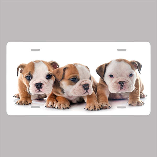 Personalized Custom Puppies Novelty Front License Plate Funny